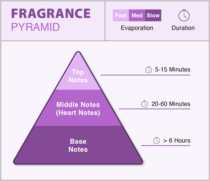 Understanding Fragrance Notes